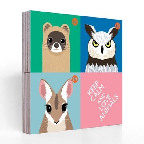 Office Products - eagle-owl Block Magnet Set