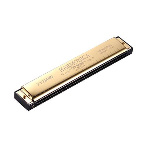 YYLIANG Children Beginner 24 Holes Double Tremolo harmonica - Polyphony harmonica -Blues harmonica- Key of C (Gold)