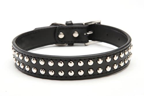 MY CHIC PETS Bling Dog Collar with Metallic Studs (Medium, Black)