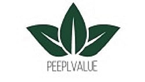 Peeplvalue A3 Size 40 Leaf (Pack of 2) Display File and Folder for Certificates, Book with Transparent Sleeves Pocket, Display Presentation Files
