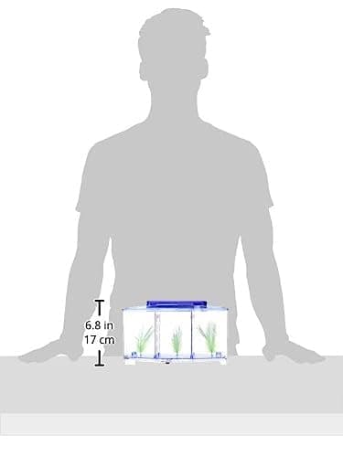 Mini Betta/Fighter Fish Tank With Three Compartments And 2 Color Changeable Led Lights-28 X 10 X 15 Cms