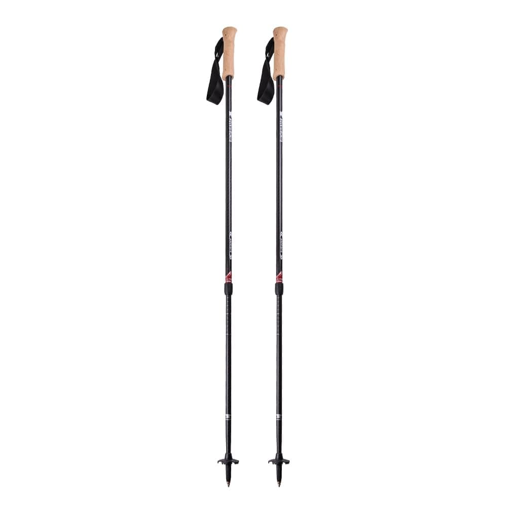 Andesite Trekking Pole Pair - Carbon