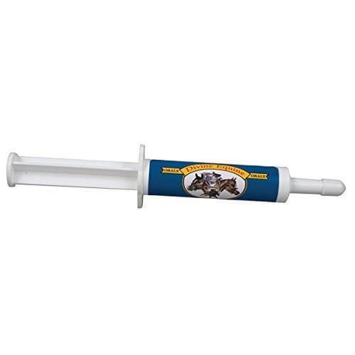 Devine Equine - 34 Grams (1.2 Ounces) Syringe