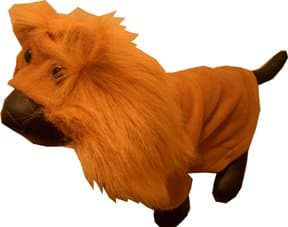 Lion King Pet CostumeSmall