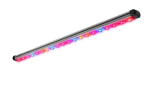 Kind LED Bar Light (3 Foot, Flower A)