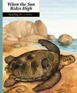 Reading 2b 2nd Edition Updated Paperback – January 1, 2007