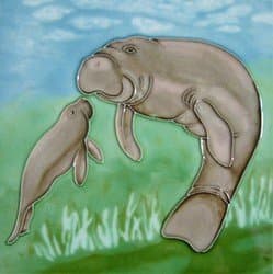 Manatee & Calf Ceramic Wall Art Tile 4x4