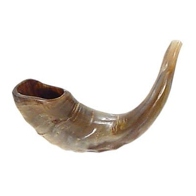 Shofar Kosher Ram Horn 11"
