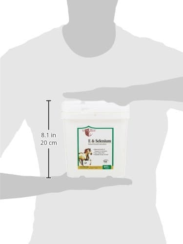 Vita Flex E & Selenium Balanced Essential Antioxidants, 64 Day Supply, 4 Pound