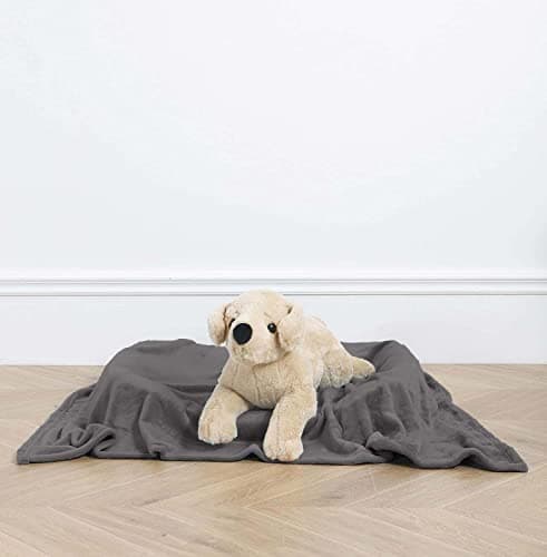 Pet Blanket for Large Small Dogs and Cats - Solid Plush Flannel Silky Soft Fleece - 25" X 35", Grey Size - Small