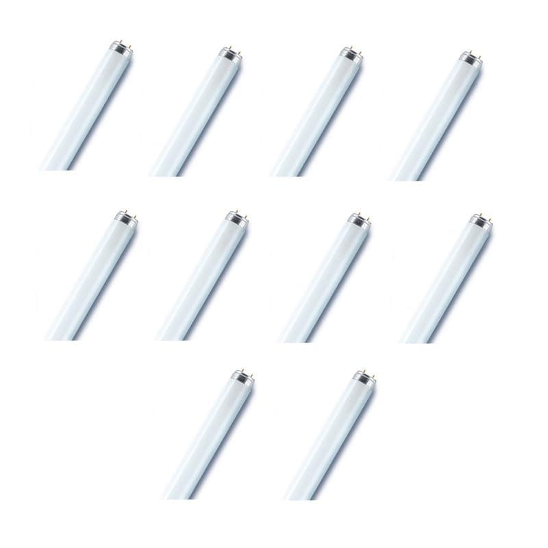 Osram/Fluorescent Tube Light Basic T8 L 18 Watts 6500k Day Light Otf18W 0.6 m- Pack of 10