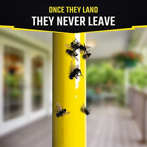 Black Flag Fly Stick Insect Trap (6 Pack)