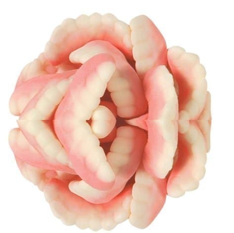 Gummy Teeth Gummy Candy 7 Pound Bag