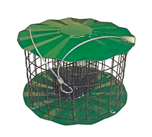 Erva Large Squirrel Proof Bird Feeder - Fits 2 Suet Cakes to Attract A Variety of Birds - Made in The USA