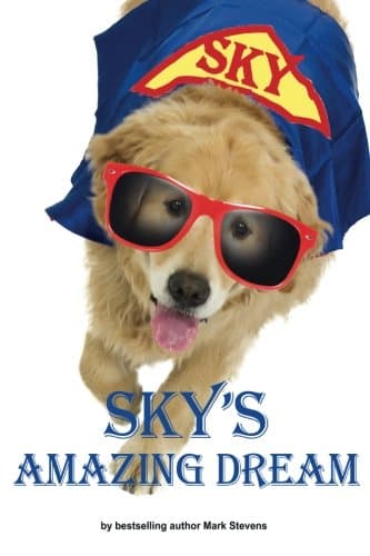 CREATESPACE SKY's Amazing Dream
