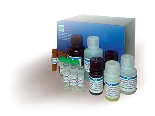 Alcohol Dehydrogenase Assay Kit (DADH-100)