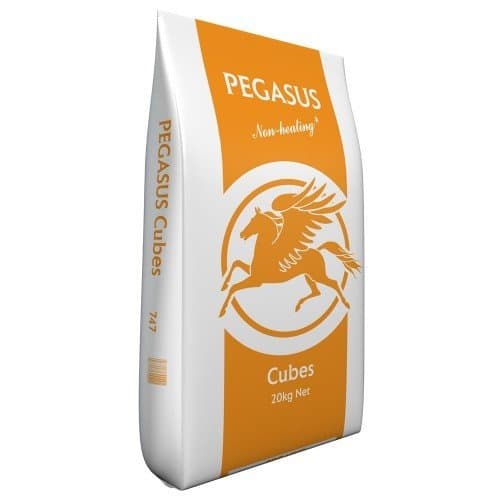 Pegasus Value Cubes 20 kg Horse Feed