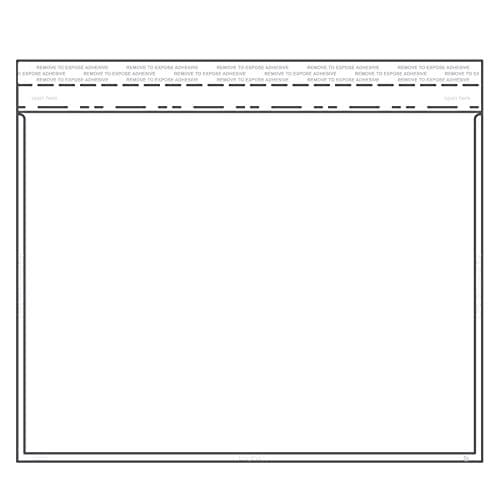 EnvyPakBranded Horizontal Catalog Envelope with Permanent Tape - Clear Envelope - USPS Approved Materials