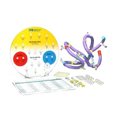 Amino Acid Starter Kit© 5-Group Set
