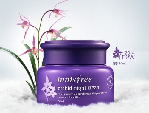 INNISFREE ORCHID NIGHT CREAM