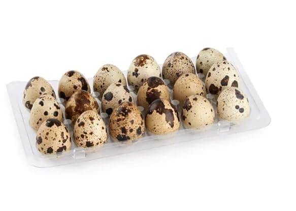 DSPetSupplies Fresh Quail Eggs (18)