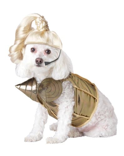 Pop Queen Pet Costume - X-Small