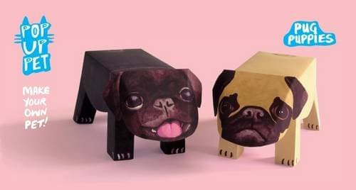 Pop Up Pet Pug Puppies