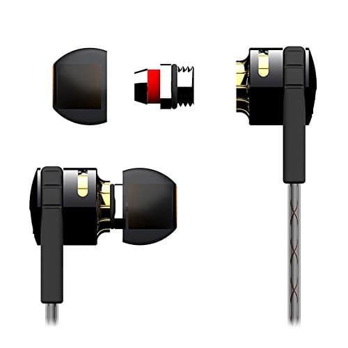 Customizable Ear Buds (Glossy Black and Gold)