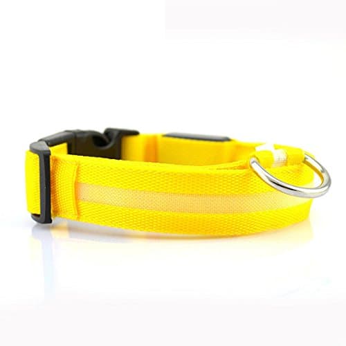Night LED Dog Collar - Customized Packaging - Safe. Length:35-43cm. Width:2.5cm