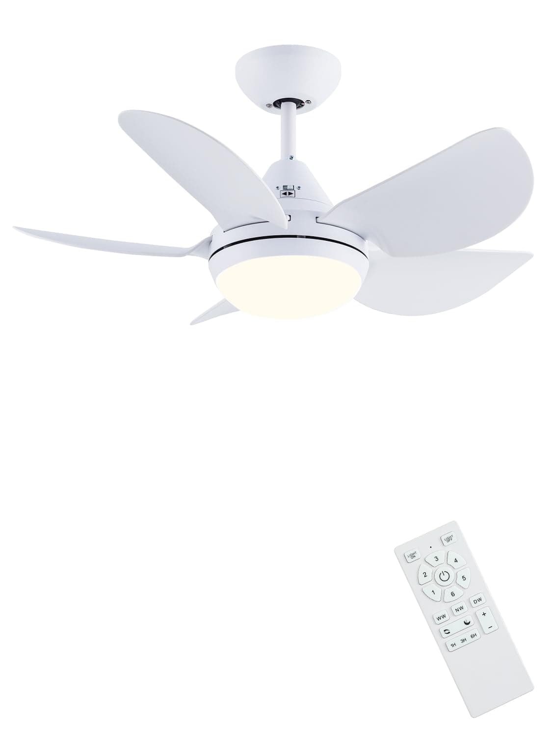 Newday 30'' Small White Ceiling Fan with Remote Control, Modern Ceiling Fan with 5 Reversible Blades, Stepless Adjustable CCT and Brightness, 3 Timer, Sleep Mode for Kids Bedroom Livingroom