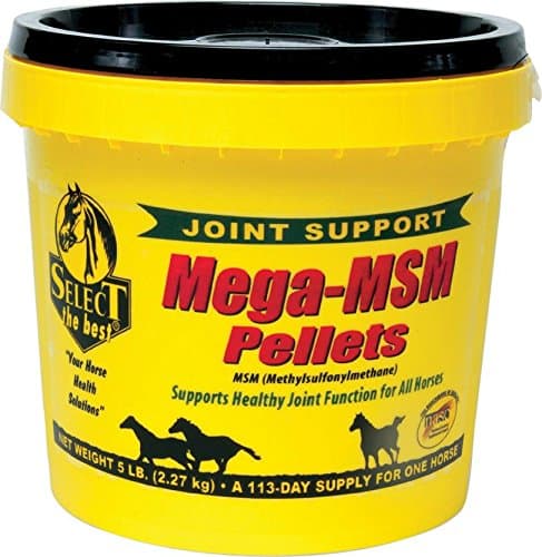 DPD MEGA-MSM PELLETS Joint Support for Horses - 5 Pound
