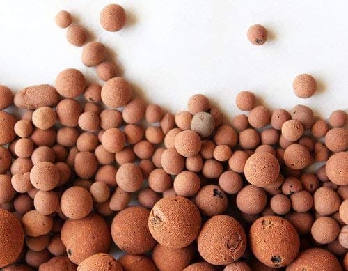 1 lbs Expanded Clay Aggregate Pebbles Rocks Growing Media Hydroponics by 1331