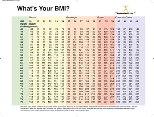 Nutrition Education Store BMI Chart Poster - BMI Index - Two Sided