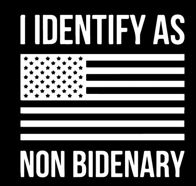 I Identify As Non Bidenary Flag Biden Binary Funny MKR Decal Vinyl Sticker |Cars Trucks Vans Walls Laptop| White | 5.5 x 5.4 in|MKR2264