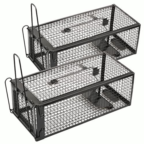 2-Pack Rat Traps Humane Live Mouse Vole Chipmunk Trap Cage for Indoors and Outdoors (Black)