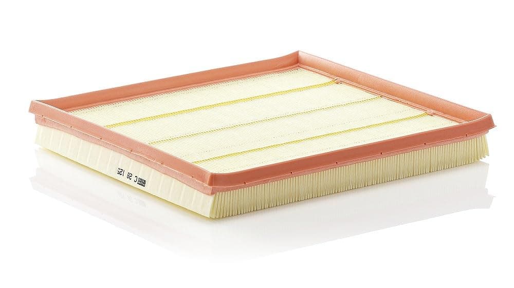 C 28 125 Air Filter