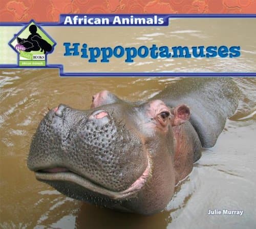 Hippopotamuses (African Animals) Library Binding – December 15, 2012
