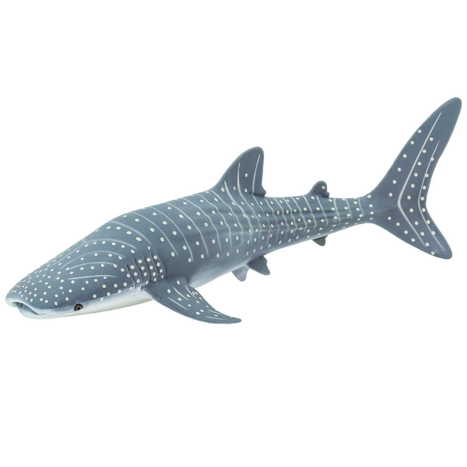 Safari Ltd Whale Shark