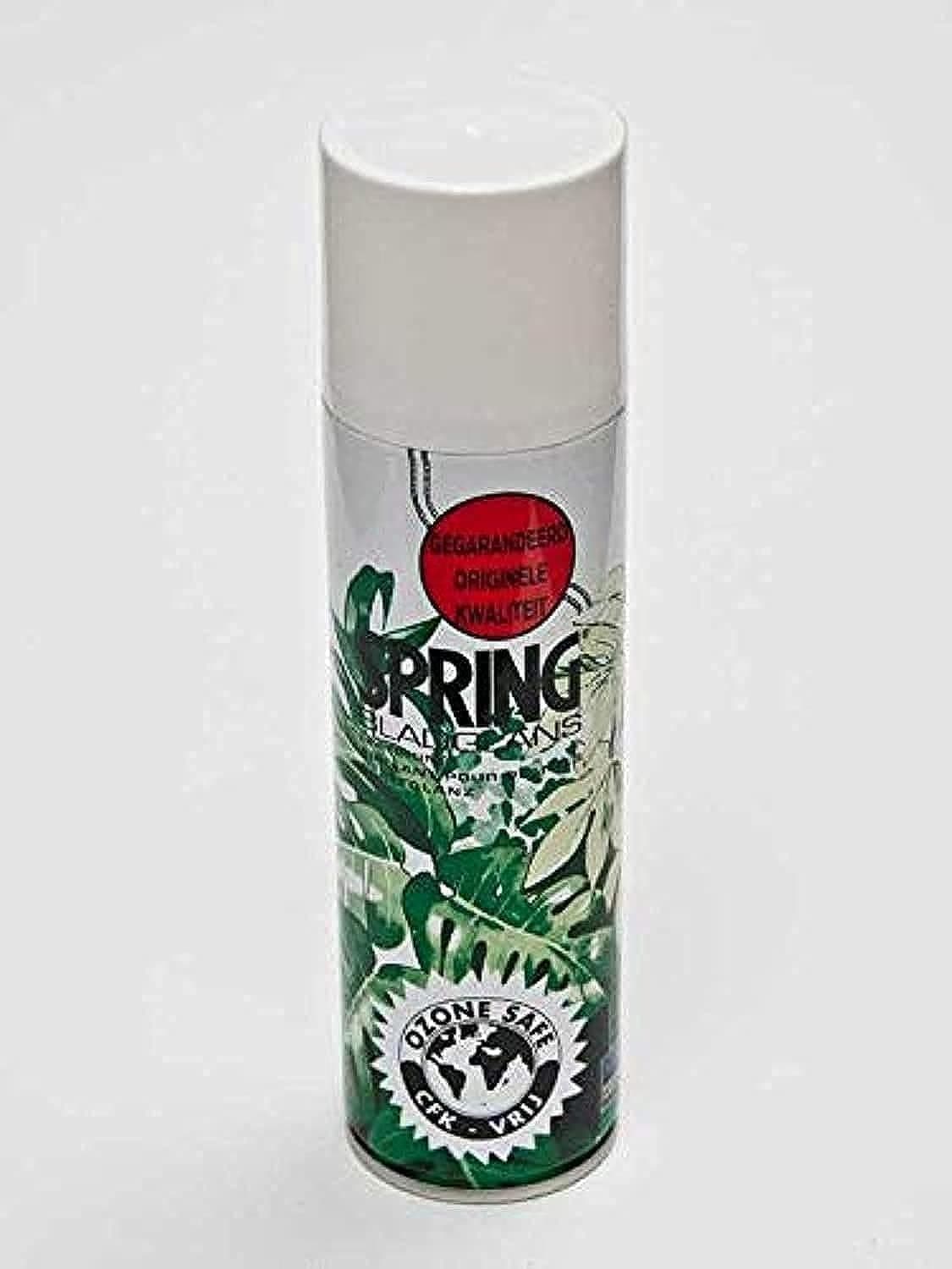 Spring Leafshine Made in Holland (250ml)