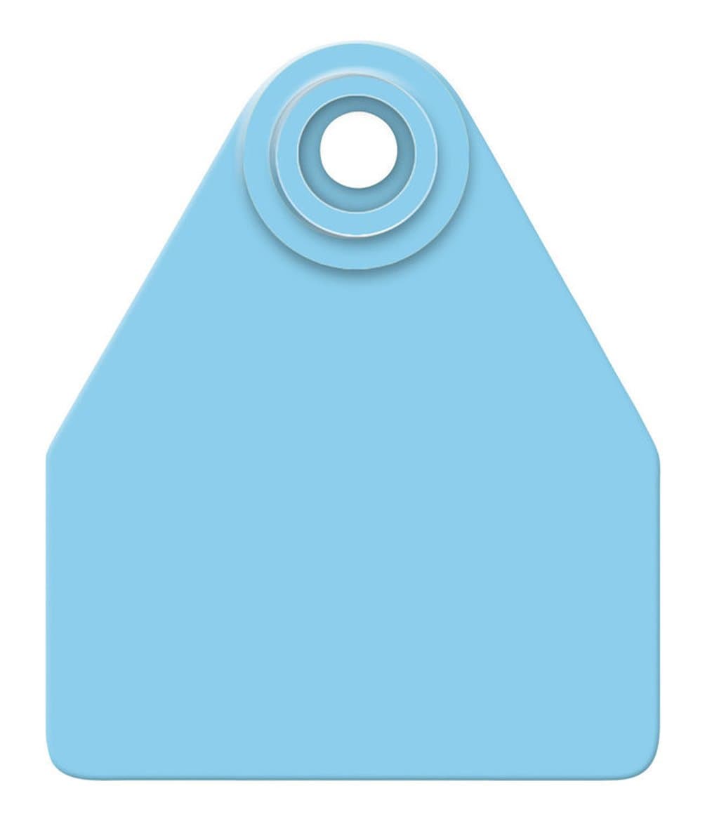 Md Glbl Tag Blu Blnk 25'S