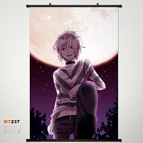 Home Decor Anime A Certain Scientific Railgun Accelerator Wall Scroll Poster Fabric Painting 23.635.4 inch b2 237