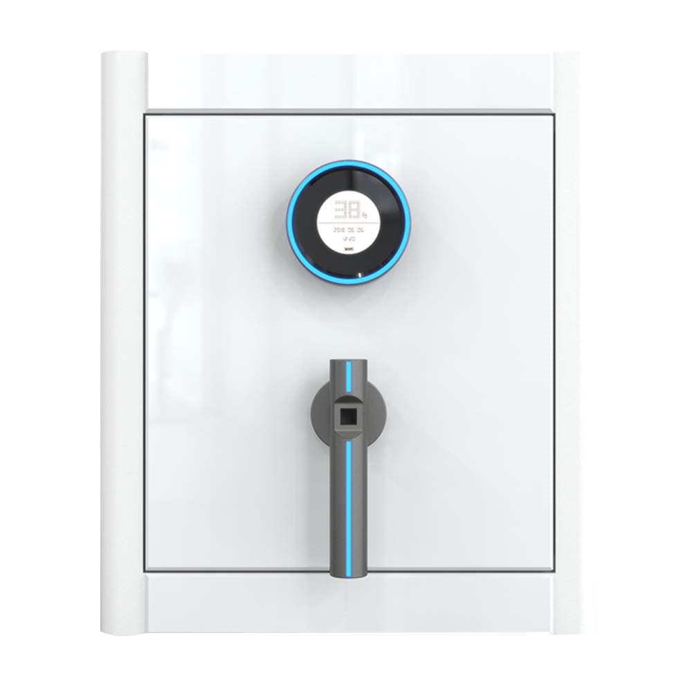 HYYQG Security Safe, Biometric Fingerprint Security Safe Led Display Smart Keypad Key Lock Protect Guns Jewelry Cash Ideal for Home Office Hotel