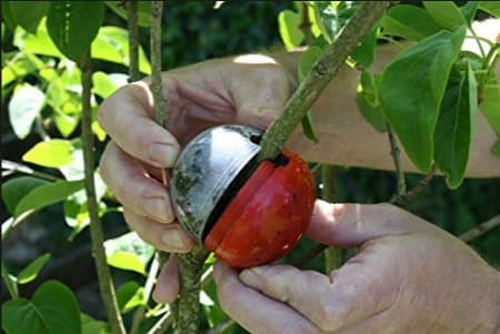 CUTTING GLOBE PROPAGATORS AIR LAYERING KIT 2 large,3 medium,6 small,free perlite,water gel,Rooting powder