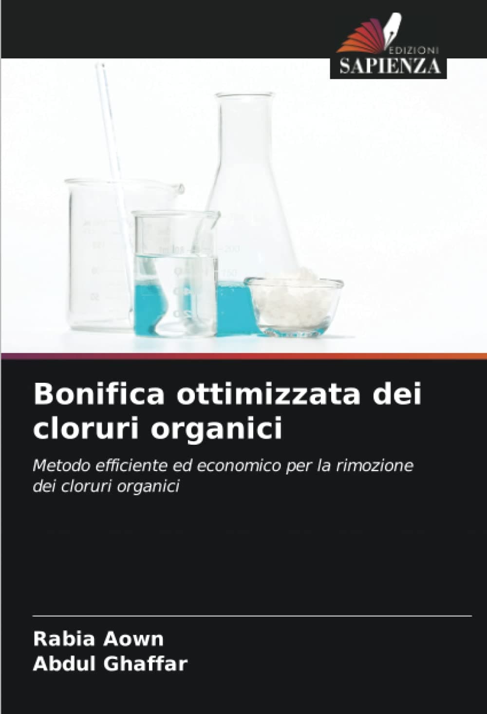 Bonifica ottimizzata dei cloruri organici: Metodo efficiente ed economico per la rimozione dei cloruri organici (Italian Edition)