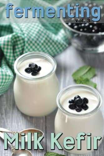 Fermenting vol. 3: Milk Kefir