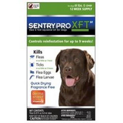 60LB Dog Flea/Tick