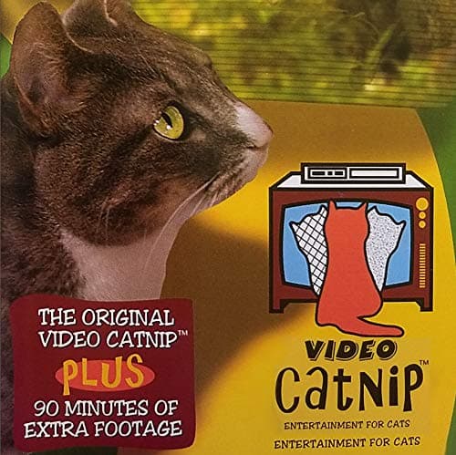 Video Catnip