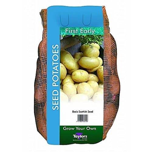 Seed Potato Arran Pilot First Early 2kg