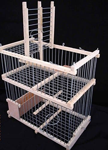 Birds Cage with one Trap