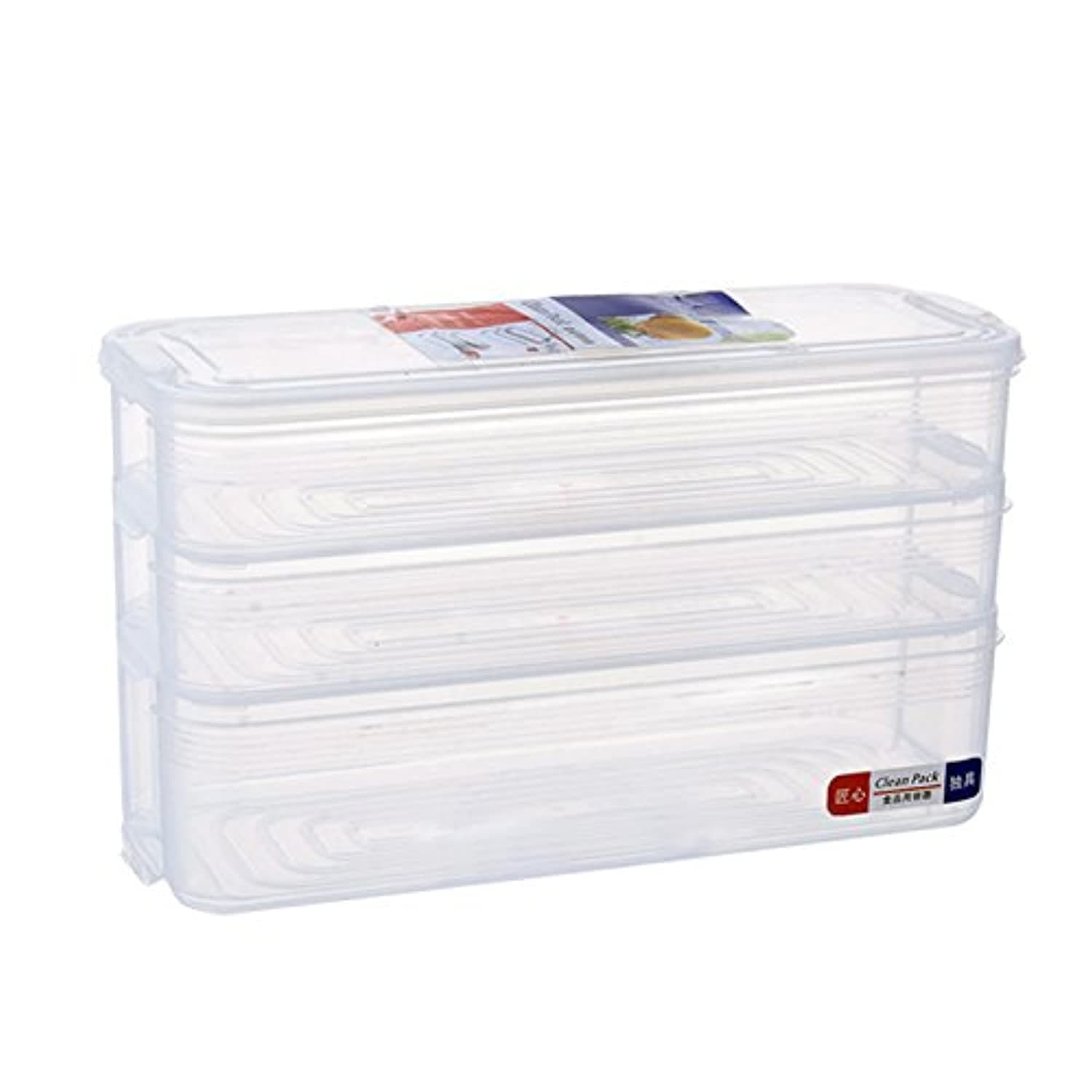 World LifeRectangle Food Storage Container